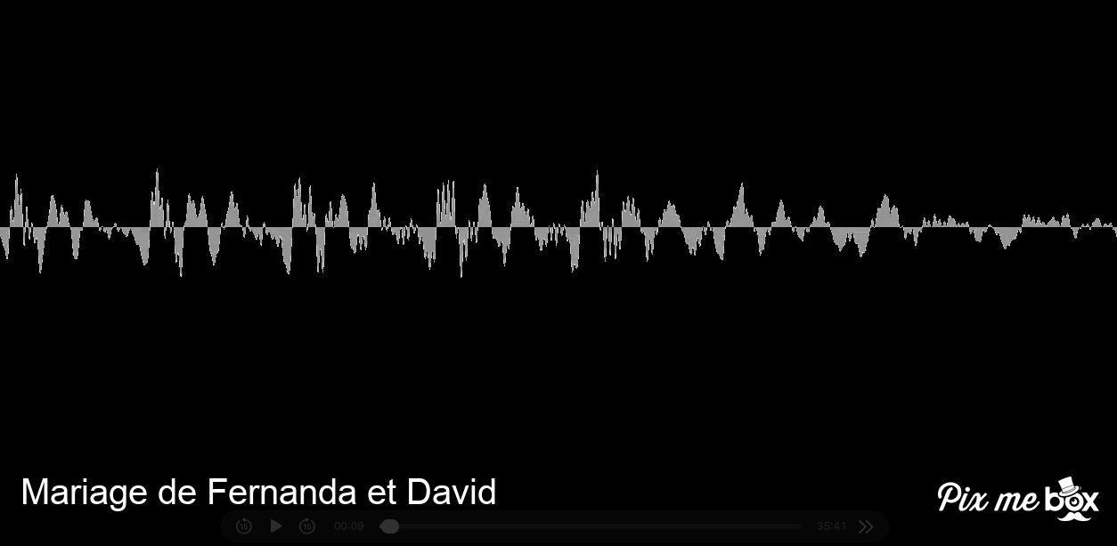 Compilation vidéo des messages vocaux — Mariage de Fernanda et David
